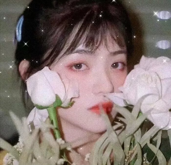 长安侠影之天朝死士