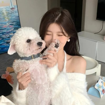 廉政风云 烟幕